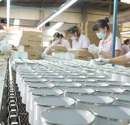 Mug Coating Factory